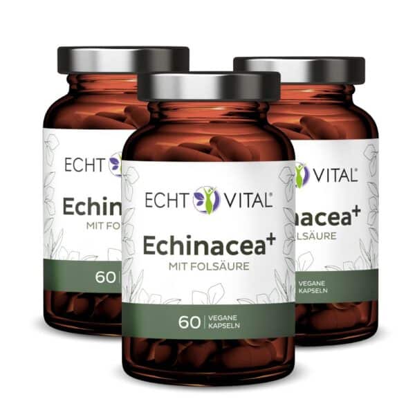 Echt Vital Echinacea+