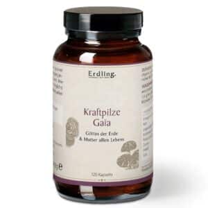 Erdling Kraftpilze Gaia – Vitalpilz Synergetikum