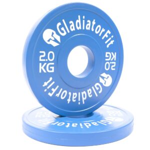 Gummi-Fraktionsscheiben "Fractional Plate" O 51mm (Satz von 2)