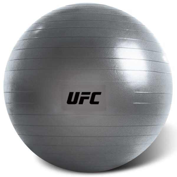 UFC FITBALL Gymnastikball 55cm Silber