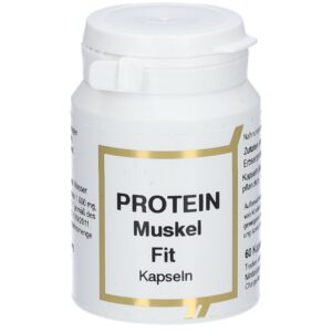 Protein Muskel Fit