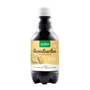 purasana® Kombucha frischer Ingwer