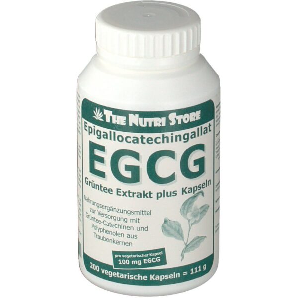 EGCG 100 mg Grüntee Extrakt plus