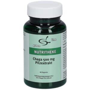 green line NUTRITHEKE Chaga 500 mg Pilzextrakt