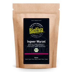 Biotiva Ingwer Pulver Bio