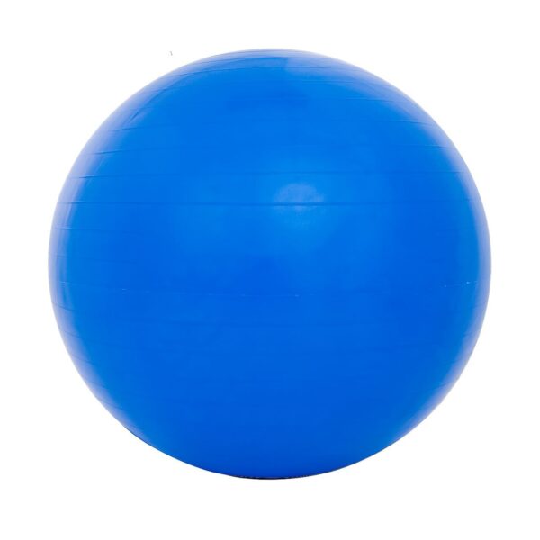 Sport-Knight® Gymnastikball mit Fußpumpe Blau 55cm